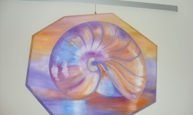 the-Shell the-Shell