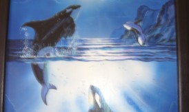 there-be-whales there-be-whales